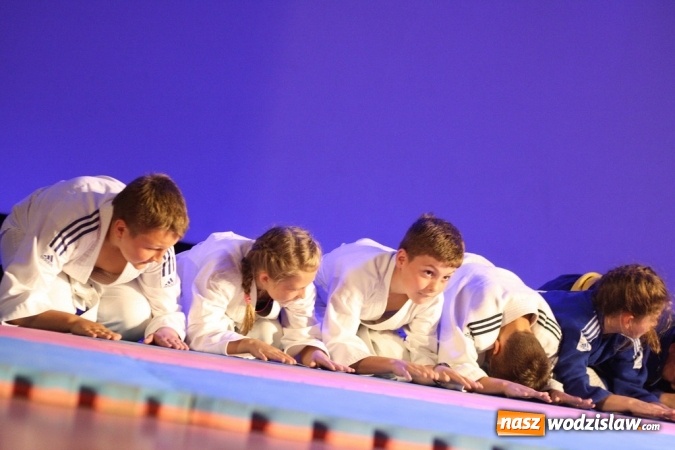 Zdjęcie w galerii na portalu naszwodzislaw.com: Sportowe emocje na deskach WCK. Za nami I Gala Judo Kids wiadomości z regionu