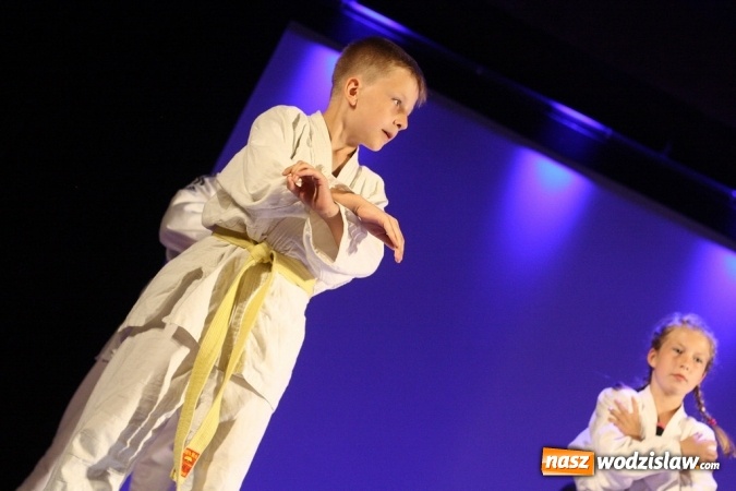 Zdjęcie w galerii na portalu naszwodzislaw.com: Sportowe emocje na deskach WCK. Za nami I Gala Judo Kids wiadomości z regionu