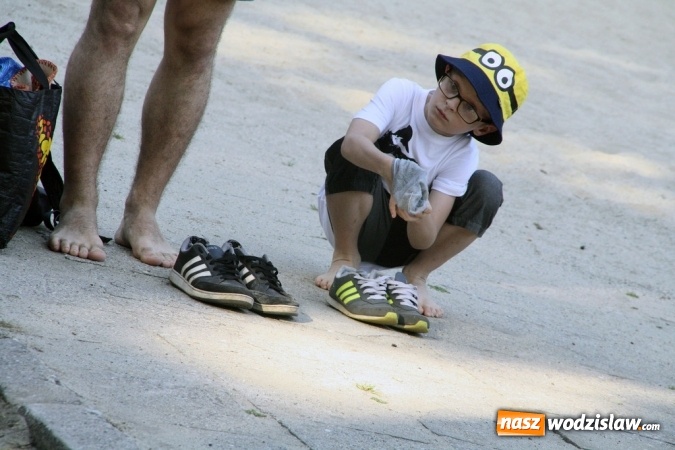 Zdjęcie w galerii na portalu naszwodzislaw.com: I Wodzisławska Noc Świętojańska wiadomości z regionu