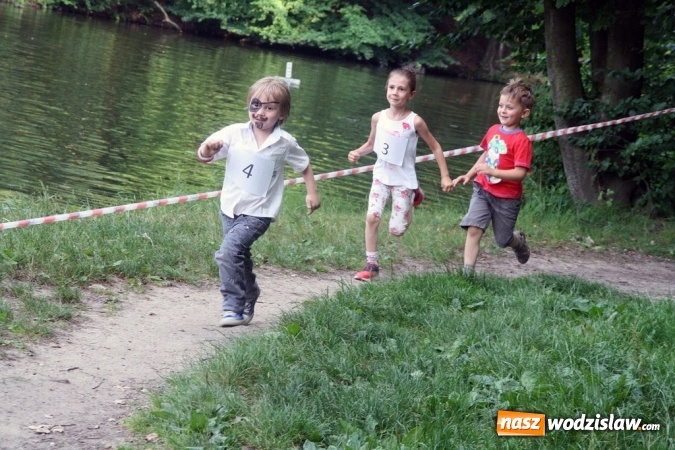 Zdjęcie w galerii na portalu naszwodzislaw.com: I Wodzisławska Noc Świętojańska wiadomości z regionu