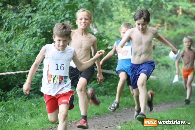 Zdjęcie w galerii na portalu naszwodzislaw.com: I Wodzisławska Noc Świętojańska wiadomości z regionu