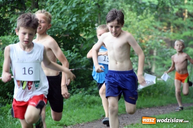 Zdjęcie w galerii na portalu naszwodzislaw.com: I Wodzisławska Noc Świętojańska wiadomości z regionu