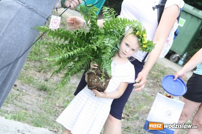 Zdjęcie w galerii na portalu naszwodzislaw.com: I Wodzisławska Noc Świętojańska wiadomości z regionu