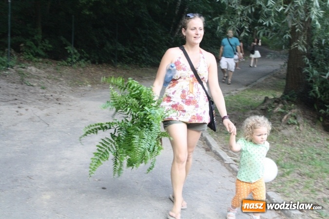 Zdjęcie w galerii na portalu naszwodzislaw.com: I Wodzisławska Noc Świętojańska wiadomości z regionu