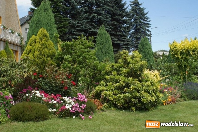 Zdjęcie w galerii na portalu naszwodzislaw.com: Rozstrzygnięto konkurs na najpiękniejszy ogród Gminy Mszana 2016 wiadomości z regionu