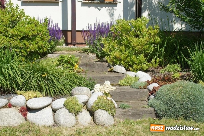 Zdjęcie w galerii na portalu naszwodzislaw.com: Rozstrzygnięto konkurs na najpiękniejszy ogród Gminy Mszana 2016 wiadomości z regionu