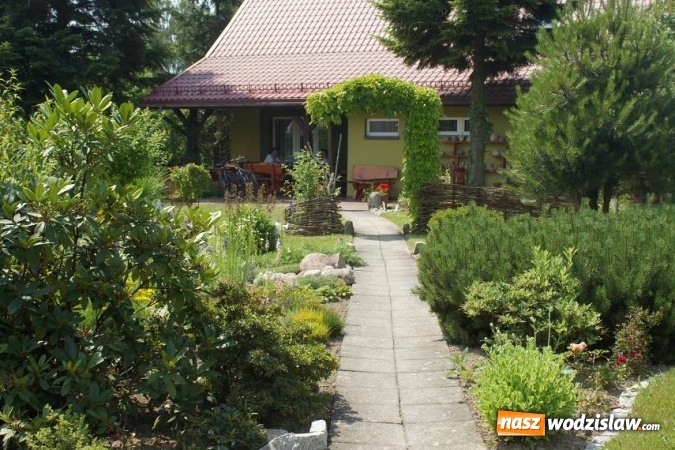 Zdjęcie w galerii na portalu naszwodzislaw.com: Rozstrzygnięto konkurs na najpiękniejszy ogród Gminy Mszana 2016 wiadomości z regionu