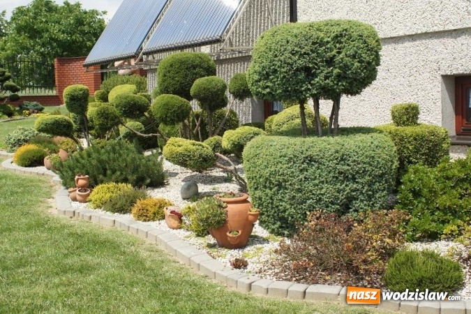 Zdjęcie w galerii na portalu naszwodzislaw.com: Rozstrzygnięto konkurs na najpiękniejszy ogród Gminy Mszana 2016 wiadomości z regionu