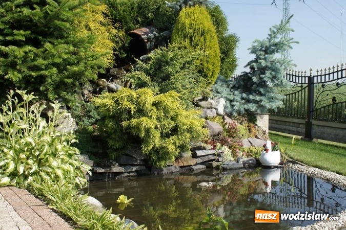 Zdjęcie w galerii na portalu naszwodzislaw.com: Rozstrzygnięto konkurs na najpiękniejszy ogród Gminy Mszana 2016 wiadomości z regionu