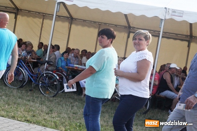 Zdjęcie w galerii na portalu naszwodzislaw.com: XVI Dni Gminy Gorzyce – odsłona pierwsza wiadomości z regionu