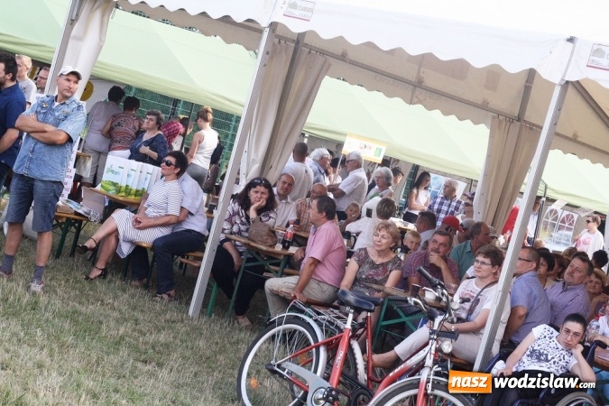 Zdjęcie w galerii na portalu naszwodzislaw.com: XVI Dni Gminy Gorzyce – odsłona pierwsza wiadomości z regionu