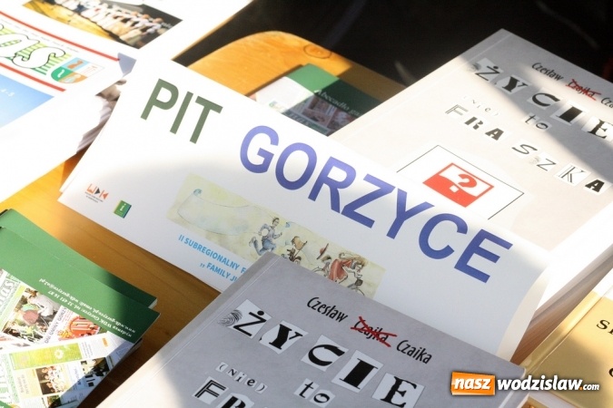 Zdjęcie w galerii na portalu naszwodzislaw.com: II Subregionalny Festiwal Rodzin Aktywnych - Family Jump wiadomości z regionu