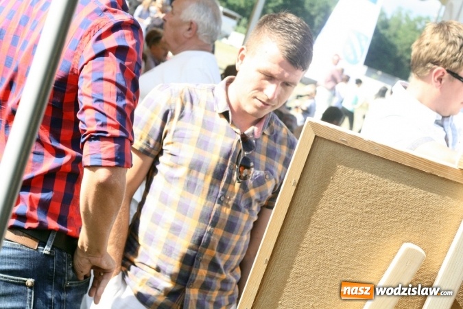 Zdjęcie w galerii na portalu naszwodzislaw.com: II Subregionalny Festiwal Rodzin Aktywnych - Family Jump wiadomości z regionu