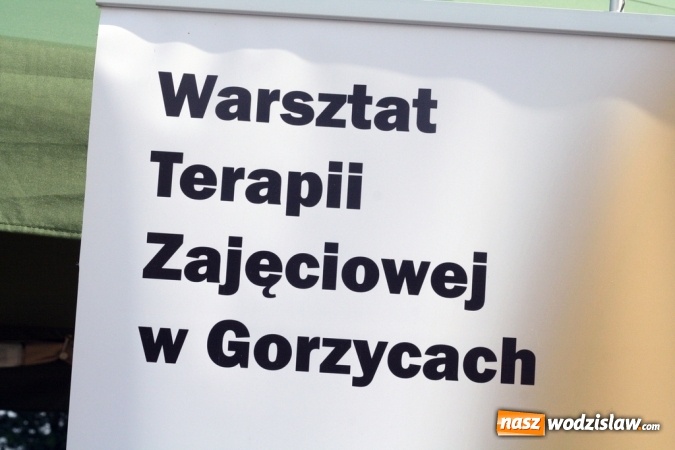 Zdjęcie w galerii na portalu naszwodzislaw.com: II Subregionalny Festiwal Rodzin Aktywnych - Family Jump wiadomości z regionu