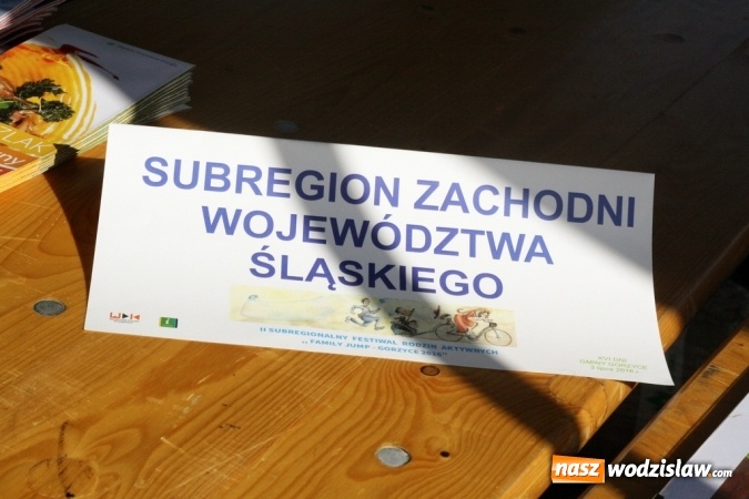 Zdjęcie w galerii na portalu naszwodzislaw.com: II Subregionalny Festiwal Rodzin Aktywnych - Family Jump wiadomości z regionu