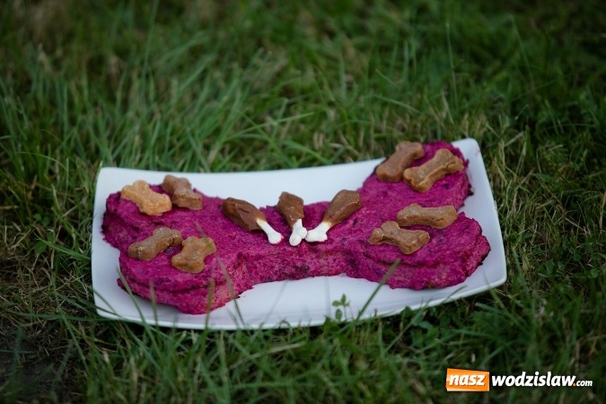 Zdjęcie w galerii na portalu naszwodzislaw.com: W Radlinie obchodzili Dzień Psa wiadomości z regionu