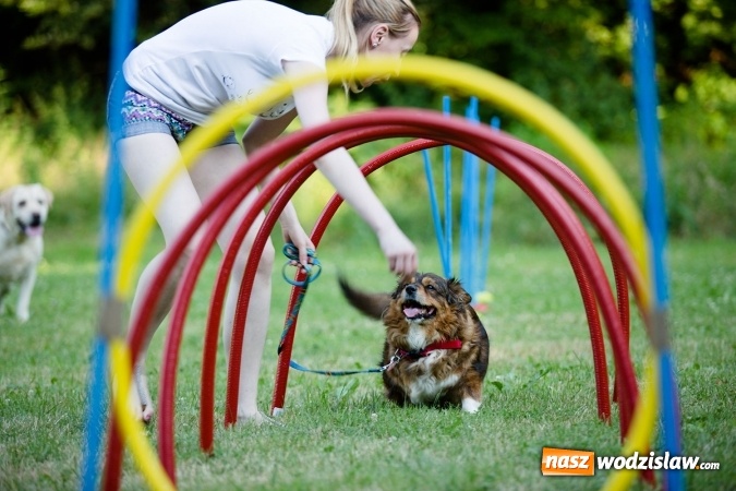 Zdjęcie w galerii na portalu naszwodzislaw.com: W Radlinie obchodzili Dzień Psa wiadomości z regionu