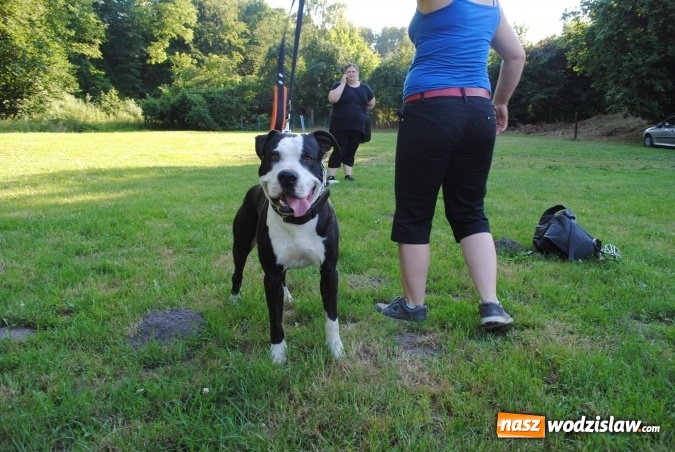 Zdjęcie w galerii na portalu naszwodzislaw.com: W Radlinie obchodzili Dzień Psa wiadomości z regionu