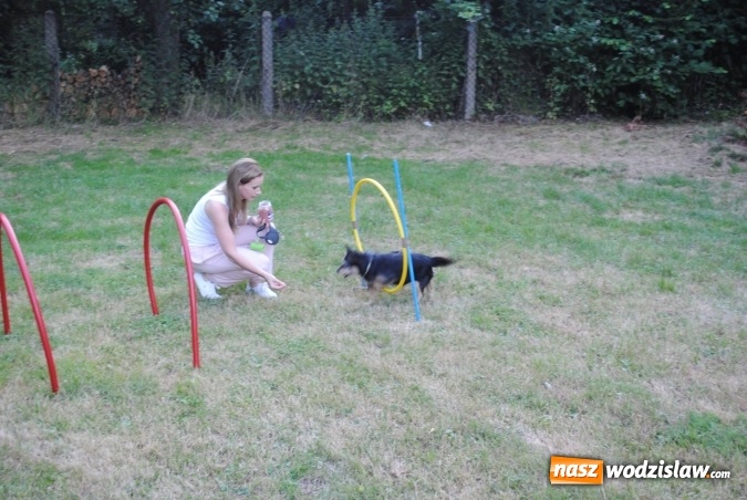 Zdjęcie w galerii na portalu naszwodzislaw.com: W Radlinie obchodzili Dzień Psa wiadomości z regionu