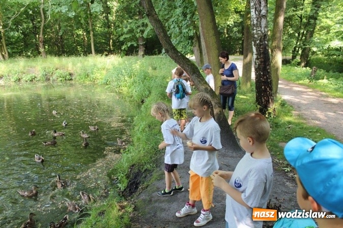Zdjęcie w galerii na portalu naszwodzislaw.com: Marklowicka drużyna taekwondo zakończyła sezon  wiadomości z regionu
