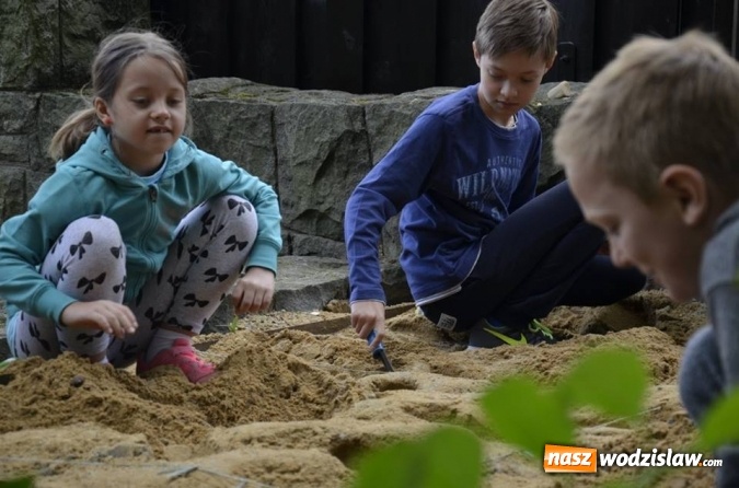 Zdjęcie w galerii na portalu naszwodzislaw.com: Zamienili się w archeologów wiadomości z regionu