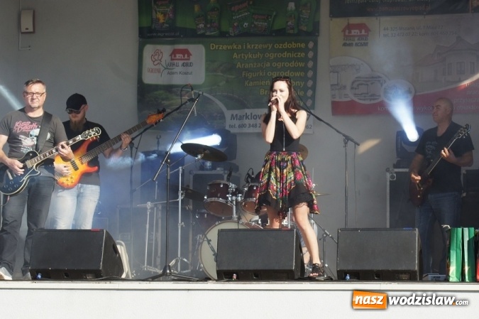 Zdjęcie w galerii na portalu naszwodzislaw.com: 