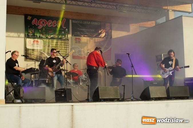 Zdjęcie w galerii na portalu naszwodzislaw.com: 