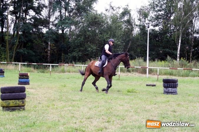 Zdjęcie w galerii na portalu naszwodzislaw.com: IX Pokaz Konia Śląskiego w Krostoszowicach wiadomości z regionu