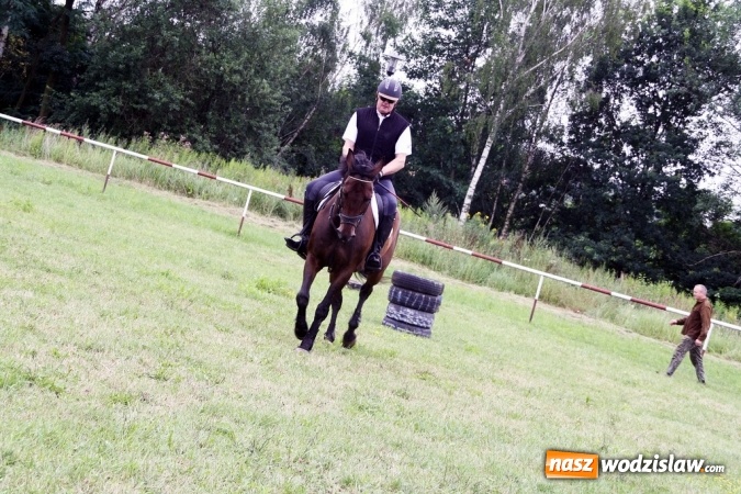 Zdjęcie w galerii na portalu naszwodzislaw.com: IX Pokaz Konia Śląskiego w Krostoszowicach wiadomości z regionu