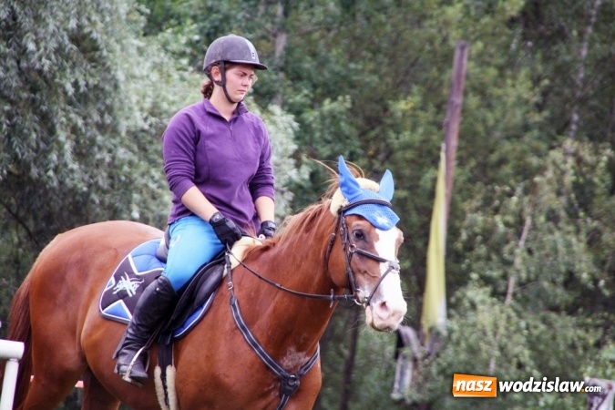 Zdjęcie w galerii na portalu naszwodzislaw.com: IX Pokaz Konia Śląskiego w Krostoszowicach wiadomości z regionu