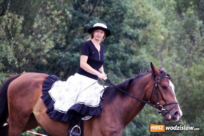 Zdjęcie w galerii na portalu naszwodzislaw.com: IX Pokaz Konia Śląskiego w Krostoszowicach wiadomości z regionu