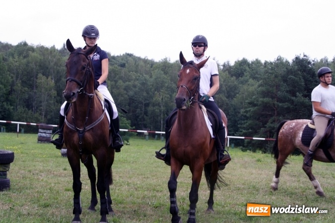 Zdjęcie w galerii na portalu naszwodzislaw.com: IX Pokaz Konia Śląskiego w Krostoszowicach wiadomości z regionu
