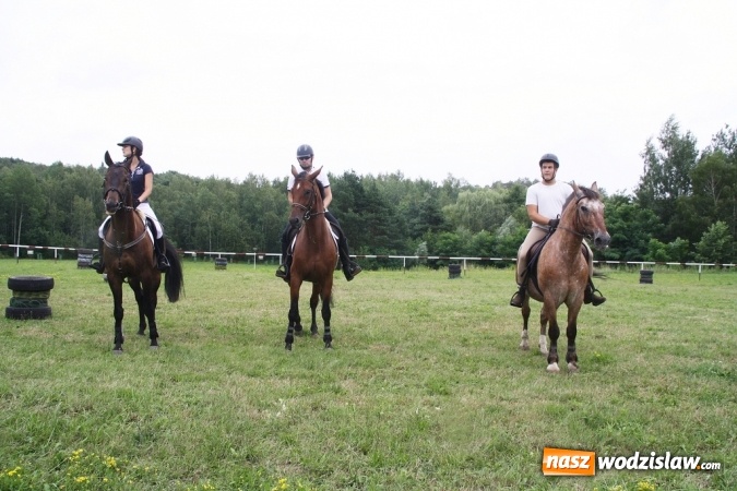 Zdjęcie w galerii na portalu naszwodzislaw.com: IX Pokaz Konia Śląskiego w Krostoszowicach wiadomości z regionu