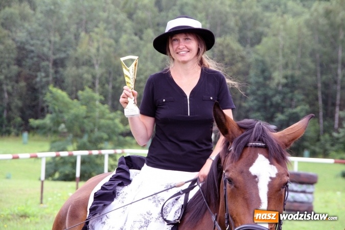 Zdjęcie w galerii na portalu naszwodzislaw.com: IX Pokaz Konia Śląskiego w Krostoszowicach wiadomości z regionu