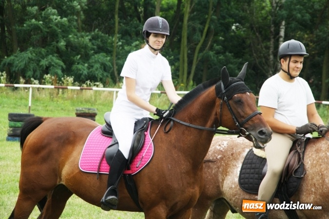 Zdjęcie w galerii na portalu naszwodzislaw.com: IX Pokaz Konia Śląskiego w Krostoszowicach wiadomości z regionu