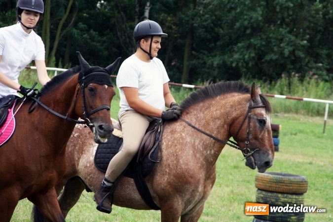 Zdjęcie w galerii na portalu naszwodzislaw.com: IX Pokaz Konia Śląskiego w Krostoszowicach wiadomości z regionu