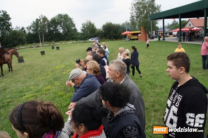 Zdjęcie w galerii na portalu naszwodzislaw.com: IX Pokaz Konia Śląskiego w Krostoszowicach wiadomości z regionu