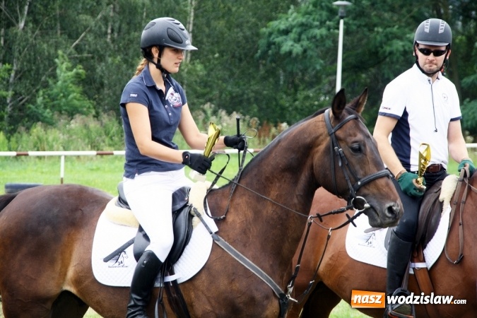 Zdjęcie w galerii na portalu naszwodzislaw.com: IX Pokaz Konia Śląskiego w Krostoszowicach wiadomości z regionu