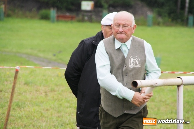 Zdjęcie w galerii na portalu naszwodzislaw.com: IX Pokaz Konia Śląskiego w Krostoszowicach wiadomości z regionu