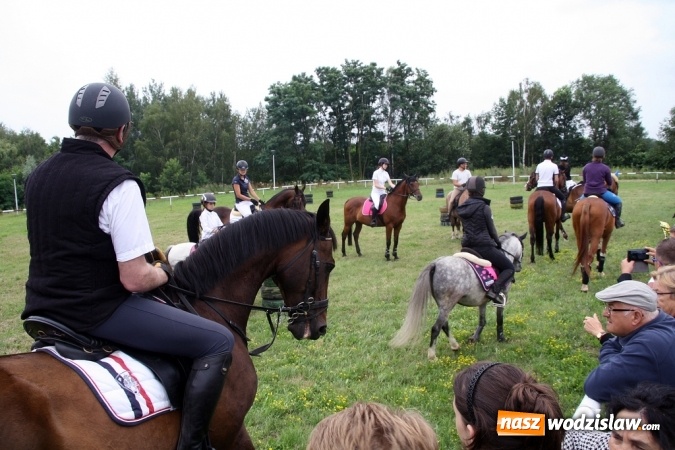 Zdjęcie w galerii na portalu naszwodzislaw.com: IX Pokaz Konia Śląskiego w Krostoszowicach wiadomości z regionu