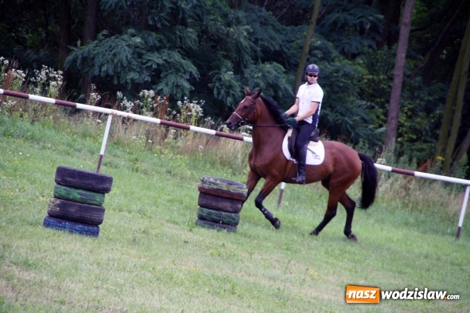 Zdjęcie w galerii na portalu naszwodzislaw.com: IX Pokaz Konia Śląskiego w Krostoszowicach wiadomości z regionu