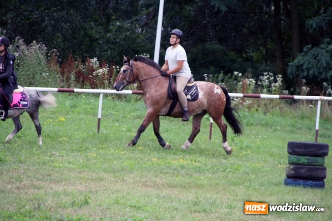 Zdjęcie w galerii na portalu naszwodzislaw.com: IX Pokaz Konia Śląskiego w Krostoszowicach wiadomości z regionu