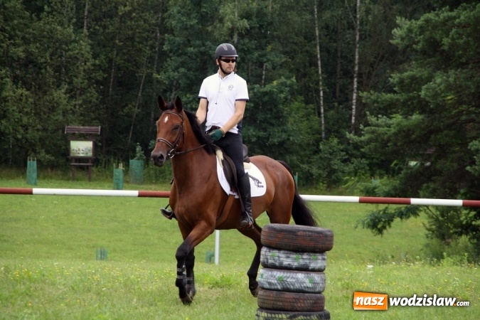 Zdjęcie w galerii na portalu naszwodzislaw.com: IX Pokaz Konia Śląskiego w Krostoszowicach wiadomości z regionu