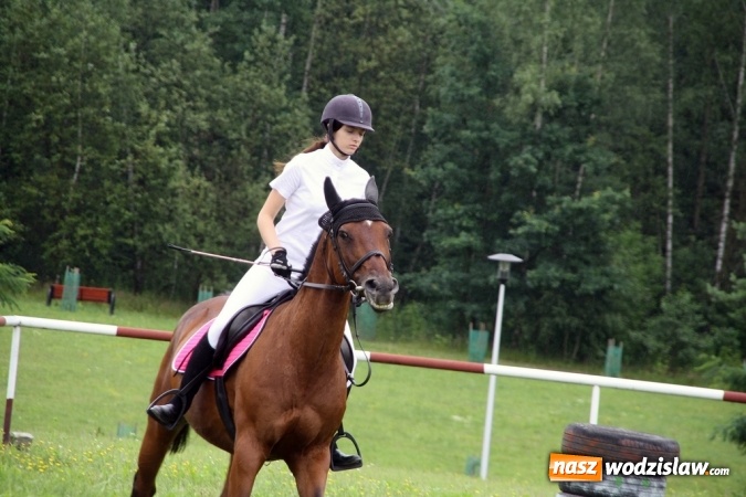 Zdjęcie w galerii na portalu naszwodzislaw.com: IX Pokaz Konia Śląskiego w Krostoszowicach wiadomości z regionu