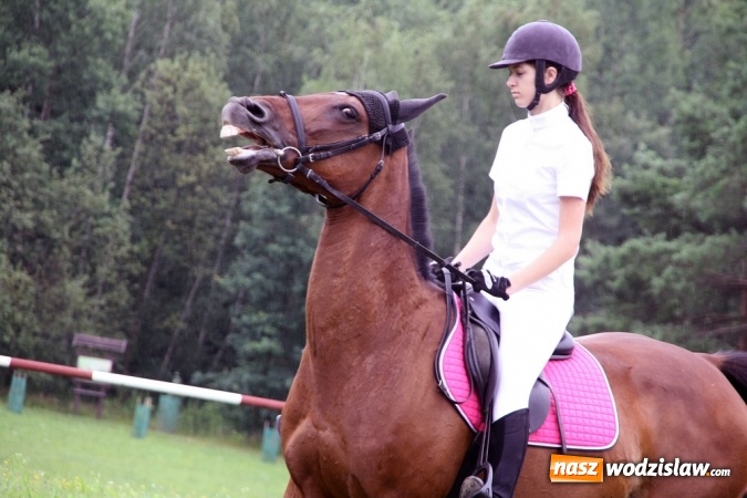 Zdjęcie w galerii na portalu naszwodzislaw.com: IX Pokaz Konia Śląskiego w Krostoszowicach wiadomości z regionu