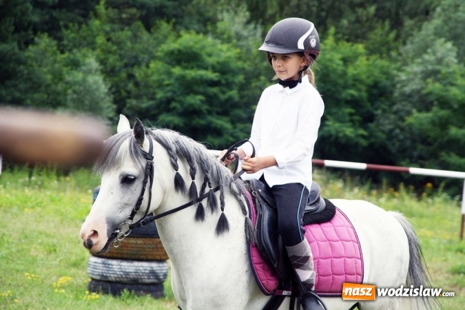 Zdjęcie w galerii na portalu naszwodzislaw.com: IX Pokaz Konia Śląskiego w Krostoszowicach wiadomości z regionu