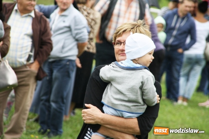 Zdjęcie w galerii na portalu naszwodzislaw.com: IX Pokaz Konia Śląskiego w Krostoszowicach wiadomości z regionu