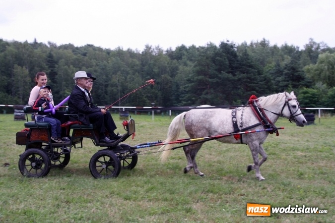 Zdjęcie w galerii na portalu naszwodzislaw.com: IX Pokaz Konia Śląskiego w Krostoszowicach wiadomości z regionu