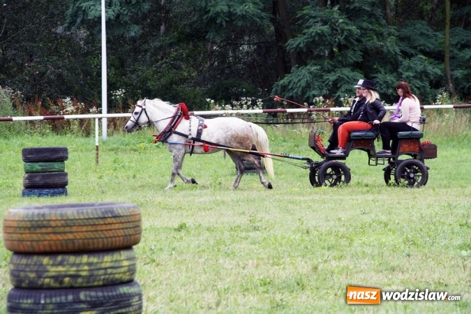 Zdjęcie w galerii na portalu naszwodzislaw.com: IX Pokaz Konia Śląskiego w Krostoszowicach wiadomości z regionu