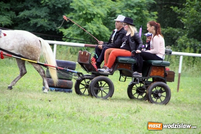 Zdjęcie w galerii na portalu naszwodzislaw.com: IX Pokaz Konia Śląskiego w Krostoszowicach wiadomości z regionu